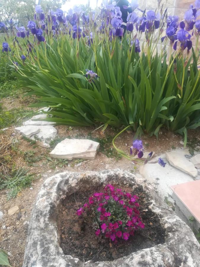Castello Flower Apartment Kastela Exterior photo